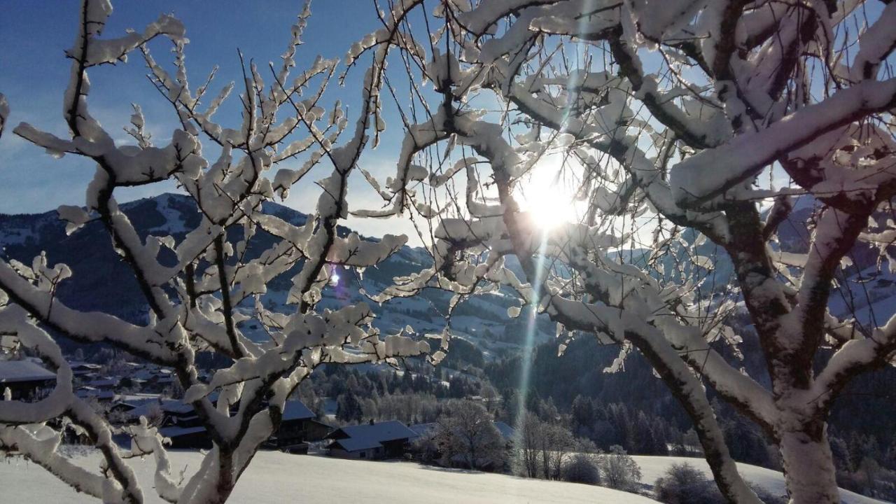 Aussermoos-Zuhaus Alpbach Extérieur photo