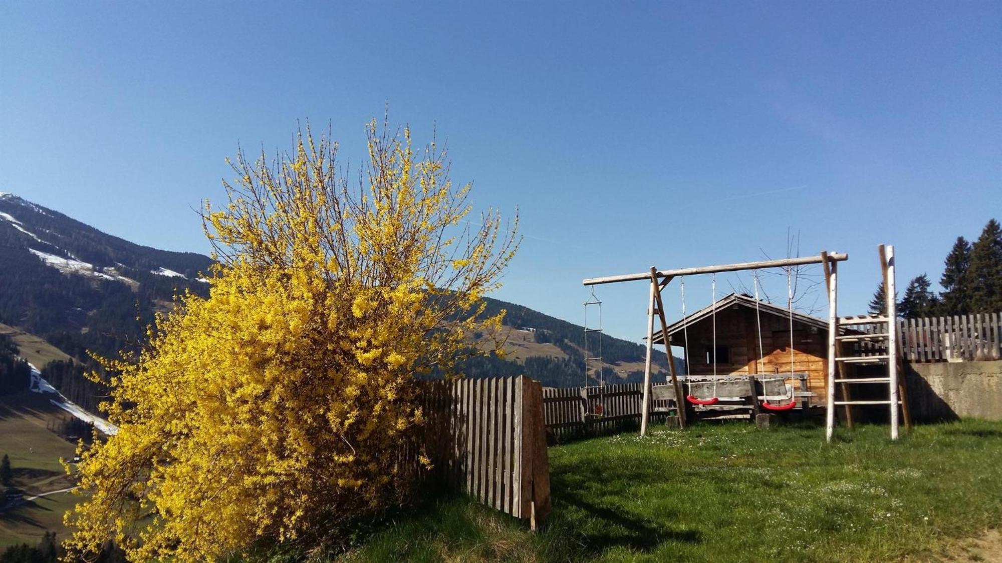 Aussermoos-Zuhaus Alpbach Extérieur photo